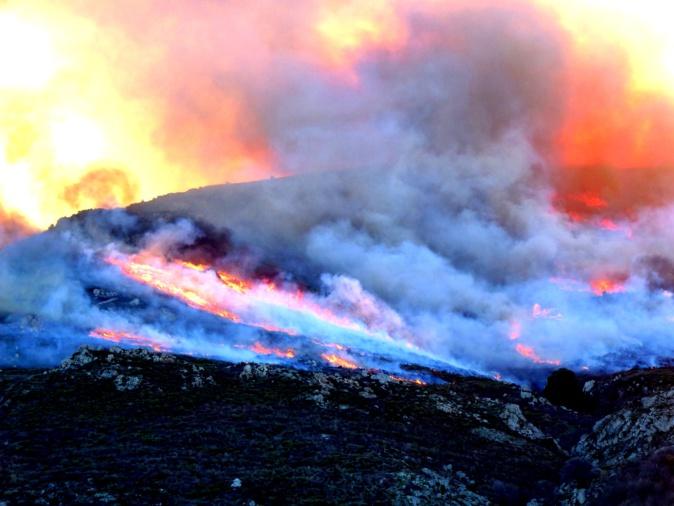Contre les incendies, une "météo des forêts" quotidienne diffusée à partir de juin