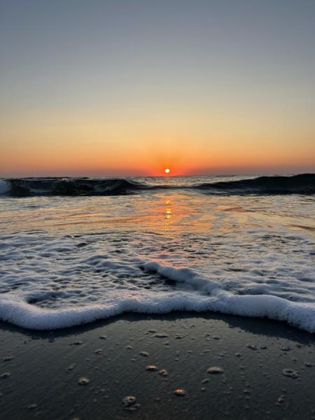 La photo du jour : lever de soleil sur la plage d'Alistro 