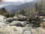 U tempu in Corsica
