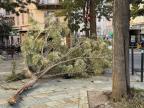 Bastia : des dégâts liés au vent dans la nuit de lundi à mardi