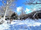 Un dimanche à la neige à Vizzavona