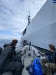 À Lisula, la Marine réalise un exercice d'évacuation grandeur nature 