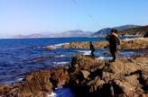 Pêche en mer : En Corse, la meilleure période, c’est maintenant ! 