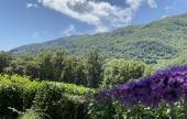 U tempu in Corsica