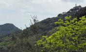 U tempu in Corsica
