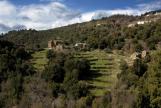 U tempu in Corsica