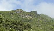 U tempu in Corsica