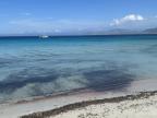 U tempu in Corsica