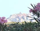 A màghjina : Calvi si perde ind’è a bruma d’estate