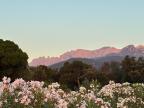 U tempu in Corsica