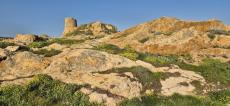 A màghjina : A Torra di a Petra