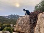 A màghjina - U misgiu di Roccapina