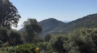 U tempu in Corsica