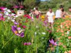 Bioblitz : la CAPA lance son premier inventaire participatif de la biodiversité