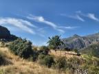 U tempu in Corsica