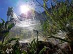 Après un intermède de quelques heures pluvieux et rafraîchissant, le soleil revient en force et le thermomètre reprend de la hauteur avec des températures qui dépassent nettement les 30 degrés. 