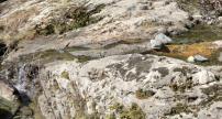 Sécheresse : les ressources en eau restent sous surveillance en Corse-du-Sud 