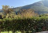 U tempu in Corsica 