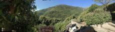 U tempu in Corsica 
