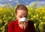 Allergies aux pollens en Corse : la fin du réseau de surveillance et ses conséquences
