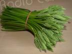 Avis aux amateurs d'asperges des bois, des intoxications sont possibles