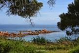 A maghina : Palumbaghja,un sguardu versu a Sardegna 