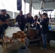 Fiera di u Casgiu in Venacu : des milliers de visiteurs et les meilleurs fromages récompensés