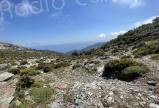 U tempu in Corsica 