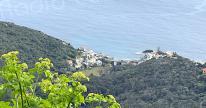 U tempu in Corsica 