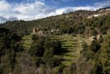 U tempu in Corsica