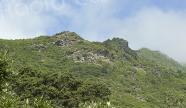 U tempu in Corsica