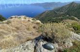 Cap Corse : un sentier botanique inauguré sur le Monte Minerviu, à Barrettali 