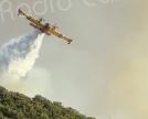 Incendies en Haute-Corse : plus de 380 hectares brûlés entre Saint-Florent et Oletta
