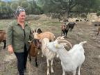 À Peri, Géraldine Gavarini nous ouvre les portes de sa bergerie "Capra" au coeur de l'automne 