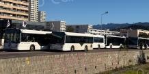 Conflit des bus à Ajaccio : les syndicats vent debout après le communiqué de la CAPA 