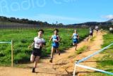 Cross- country : Plus de 400 participants dans les vignes du Domaine Peraldi à Ajaccio