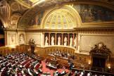 Autonomie de la Corse : le projet de loi constitutionnelle inscrit à l'agenda du Sénat