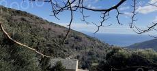 U tempu in Corsica 