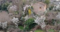A màghjina - Sbuccia u veranu curtinese 