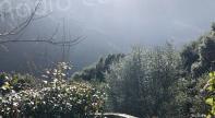 Le temps est gris et pluvieux du Nord au Sud durant toute la journée. Quelques orages peuvent même éclater en plaine orientale. Le thermomètre affiche 18 degrés. 
