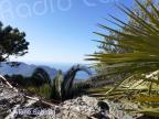 U tempu in Corsica