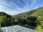 U tempu in Corsica