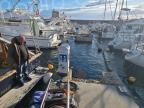 Ville-di-Pietrabugno : une partie d’un ponton coule dans le port de Toga, une personne évacuée 