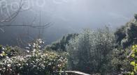 U tempu in Corsica
