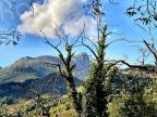 U tempu in Corsica 