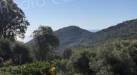 U tempu in Corsica