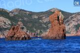 La Corse accueille le Congrès des Réserves naturelles de France autour de la restauration des écosystèmes 