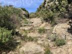 U tempu in Corsica 