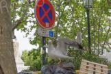 A màghjina - Bastia : interdettu... micca per tutti 