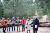 La filière bois à la relance à Portivechju